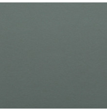  Kydex Foliage Green (Gray Khaki) 2х300х150 mm