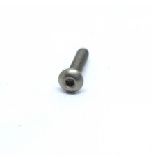 Screw M2 titanium 10mm hex socket