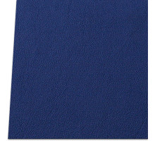 Kydex POLICE Blue (Blue) 2x300x150 mm