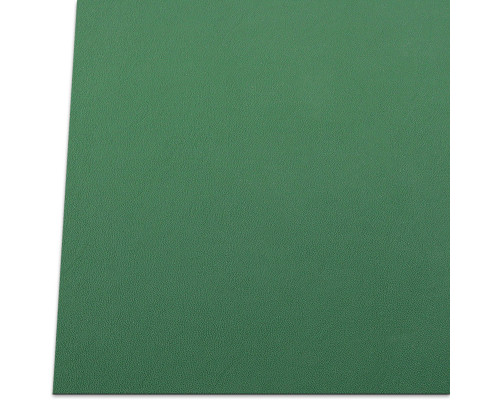Kydex Infantry Green (Green) 2x300x150 mm